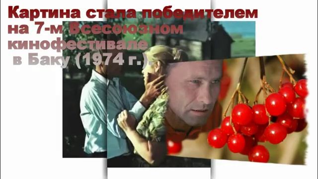 Буктрейлер по произведению В. М. Шукшина "Калина Красная" смотреть онлайн