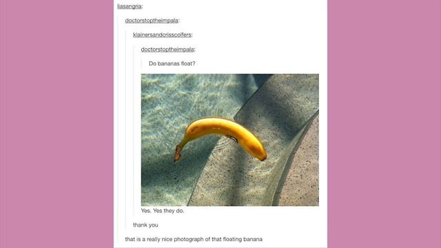 Photogenic Banana | Late Night Tumblr Posts смотреть онлайн