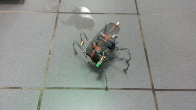 Робот жук. Beetle robot. смотреть онлайн
