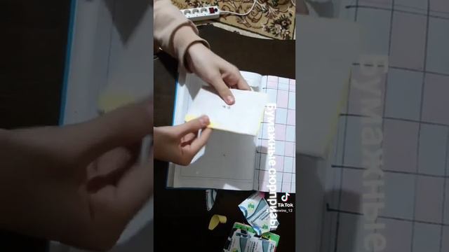 Тетради 2 новинки/ Бумажные сюрпризы смотреть онлайн