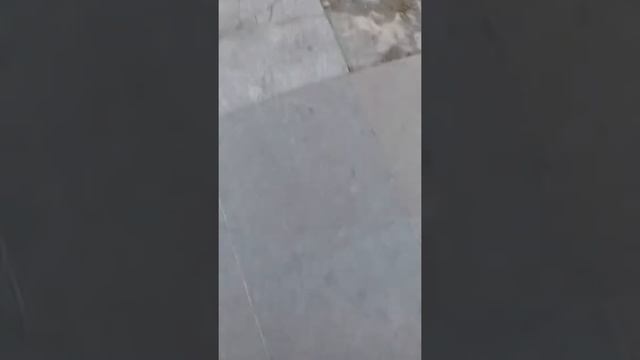 Страна Болгария город Сандански Улица Македония смотреть онлайн