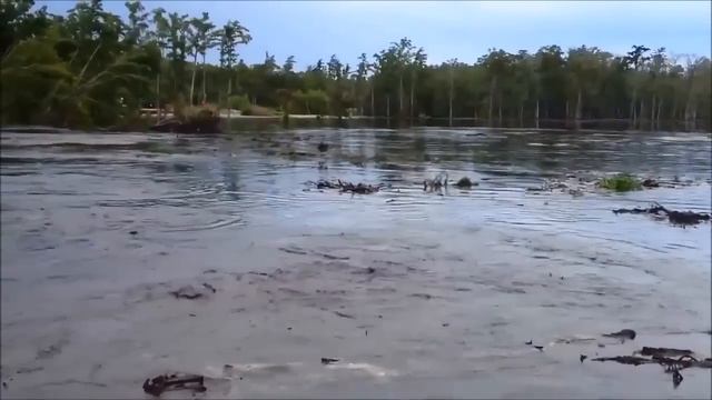 Необъяснимое явление! ЖУТЬ! смотреть онлайн
