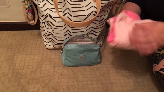 Review/Packing Video: Parasol Grab N Go Diaper Tote For Two Babies
