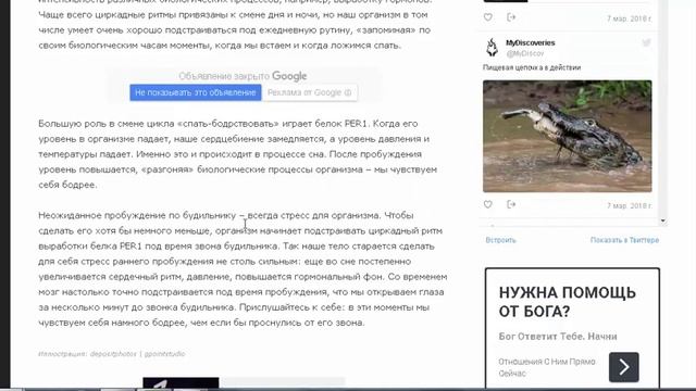 Почему мы часто просыпаемся до звонка будильника? смотреть онлайн