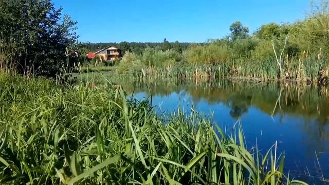 Речка Брусянка в деревне Гилева, окуньки смотреть онлайн