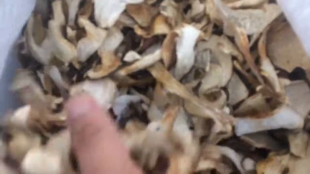 Белые Грибы Сушёные ООО ПК ЭКОЯР г.Томск смотреть онлайн