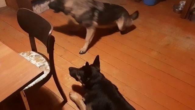 VID-20221105-WA0014.mp4 смотреть онлайн