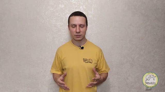 Капоэйра для начинающих #4. Перемещения - au / ау (колесо). смотреть онлайн