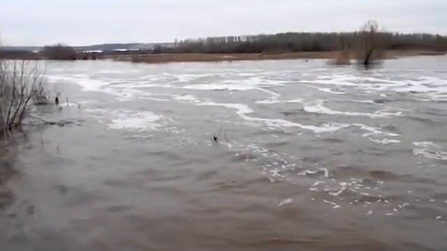 Весенний ШУМ смотреть онлайн
