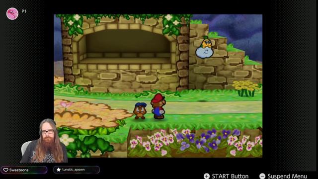 Paper Mario 100% Playthrough! Chapter 6: Dark Days In Flower Fields!