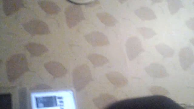 Ич ни сан ши го роко