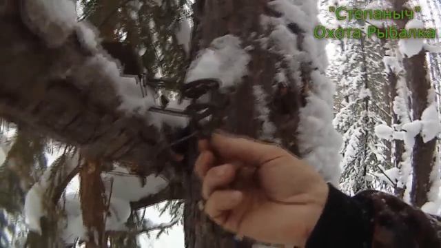 Усовершенствование гуманного капкана Агафонова смотреть онлайн