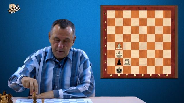 Основы методики решения шахматных задач. Урок 3. Элементы матовой зоны смотреть онлайн