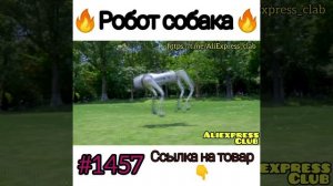 Робот собака
