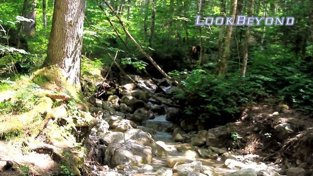 Королевское озеро.  Берхтесгаден. Königssee Berchtesgaden. Deutschland.