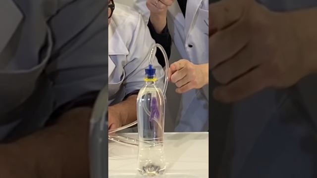 Картезианский водолаз. смотреть онлайн