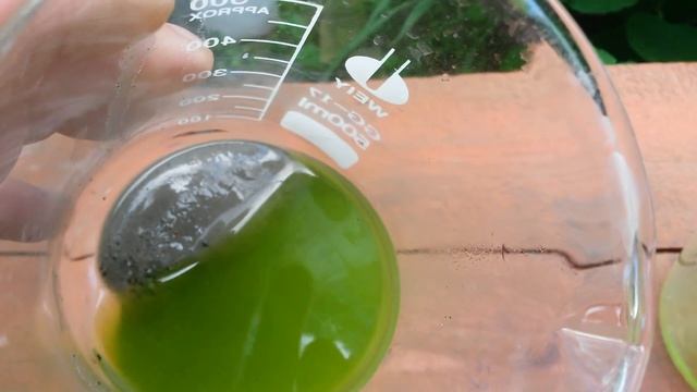 Золото с мостов со 100 грамм. смотреть онлайн