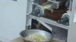 Модель DTiW установки для очистки-бланширования арахиса (Бланширатор): P.F.M.G.-компани.