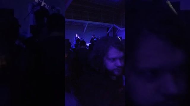 стереополина и Die Selektion смотреть онлайн