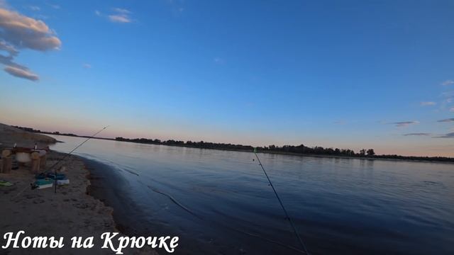 С ВАННОЙ за САЗАНОМ на нижнюю Волгу, рыбалка смотреть онлайн