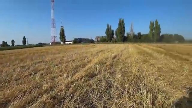Рубящим водоналивным катком по стерне и валкам соломы. Первые испытания! смотреть онлайн