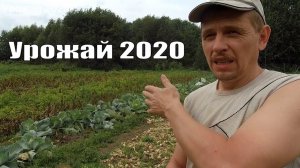 Настает время «пожинать плоды»! Урожайный огород 2020 года