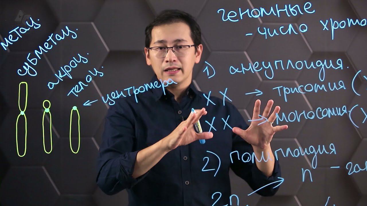 Составление кариограммы хромосомного набора человека. 10 класс. смотреть онлайн