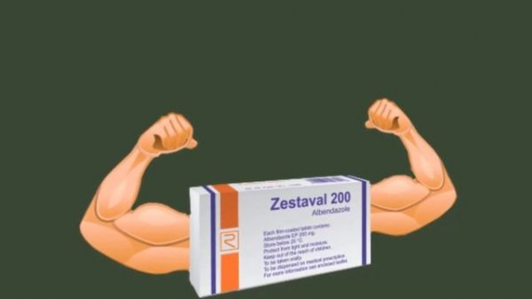 zestaval