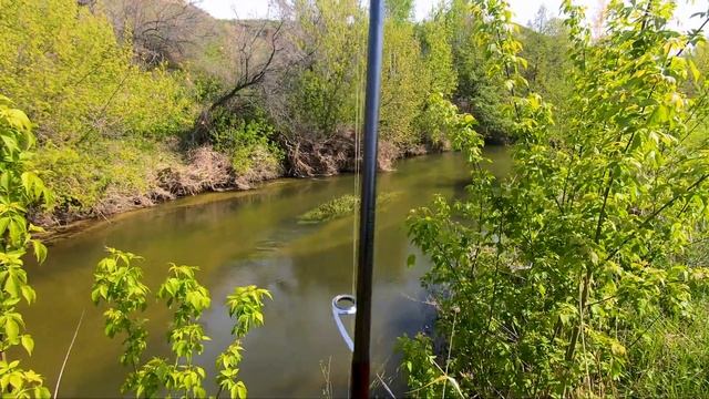 Рыбалка на ГОЛАВЛЯ. на любимой реке, хороший клев. Голавль на спиннинг. Ловля голавля на спиннинг смотреть онлайн