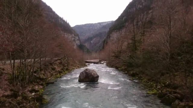 На рицу 3 марта 2016