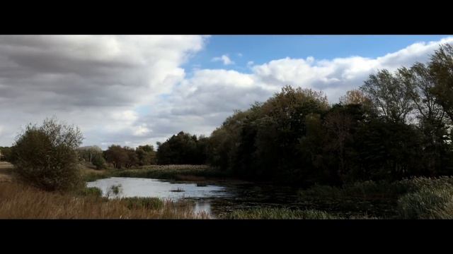 Родина смотреть онлайн