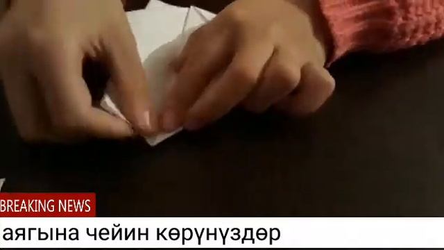 Жылан мн кобра жазоо смотреть онлайн