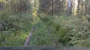 Киа мохав, легкий оффроад на Алтайских горах