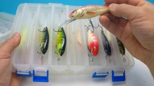 Воблера Salmo Perch 8.Обзор уловистых воблеров.Лучшие воблера Салмо.Воблера для троллинга.#Рыбалка