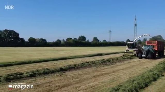 Silage-Ernte in Kropp | SH Magazin 27.05.2018 смотреть онлайн
