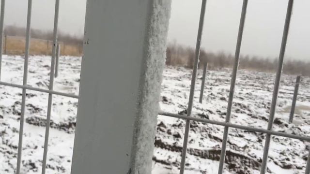 Для чего на практике нужны дорогие Бокорезы ( NWS, Gross, knipex) смотреть онлайн