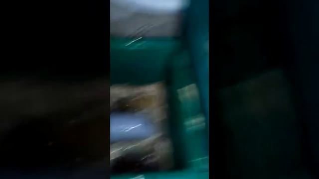 Жироуловитель Биофор отзыв смотреть онлайн