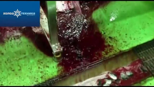 Автоматическая линия потрошения рыб лососевых пород смотреть онлайн