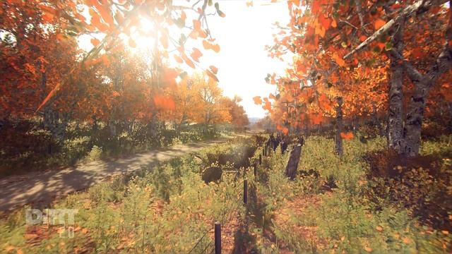 Mitsubishi Lancer Evolution VI - Dirt Rally 2.0 (Steering Wheel + Shifter) смотреть онлайн