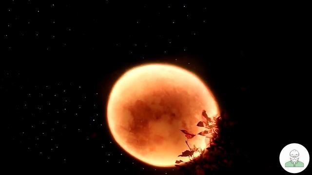 Реалистичный натяжной потолок 