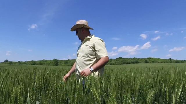 АКАНТО ПЛЮС НА ДЮПОН - ЧИСТИ ПОСЕВИ В ШУМЕНСКО смотреть онлайн