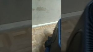 Плоский Монитор. Новейшая разработка