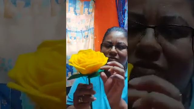 como hacer rosas eternas de fieltro. https://www.facebook.com/profile.php?id=100064161847909 смотреть онлайн