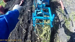 КОПКА КАРТОФЕЛЯ МОТОБЛОКОМ НЕВА И ККМ-1