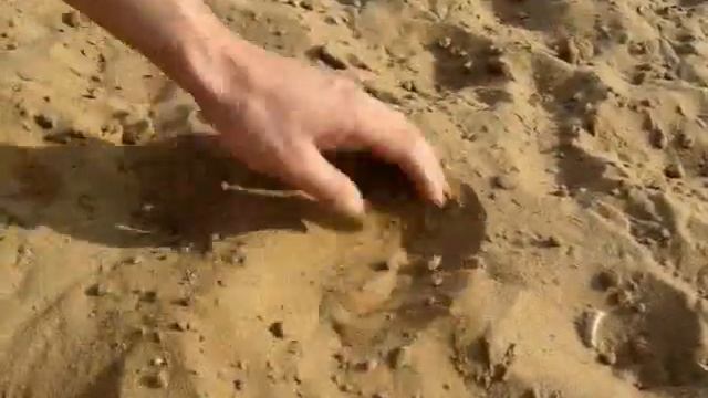 Поиск металлоискателем Терра-н крышка бутылочная.mp4 смотреть онлайн