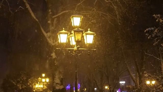 Обустройство декоративного освещения на участке смотреть онлайн
