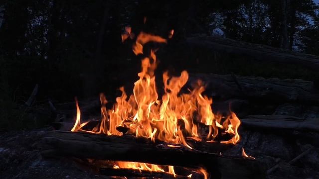 КОСТЁР l Звук костра в ночном лесу . смотреть онлайн