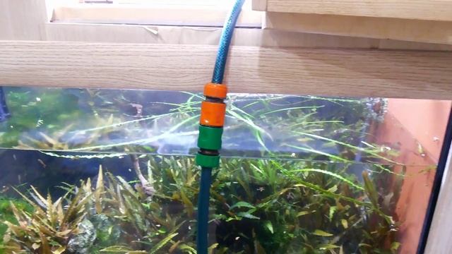 Подмена воды в аквариуме (обслуживание аквариума) смотреть онлайн
