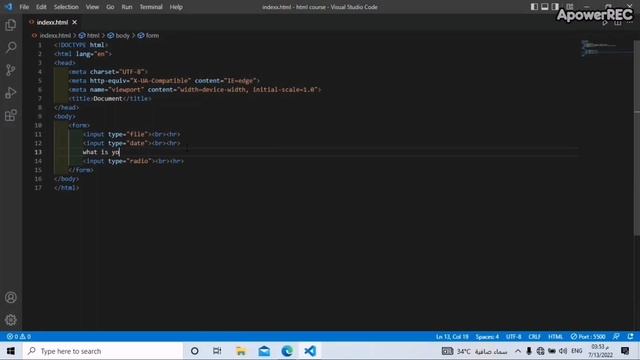 form and inputs, files, date, radio and checkbox смотреть онлайн