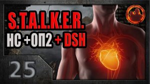 S.T.A.L.K.E.R. Народная солянка ОП-2 DSH mod #25. "Живое сердце" Сумасшедшего.